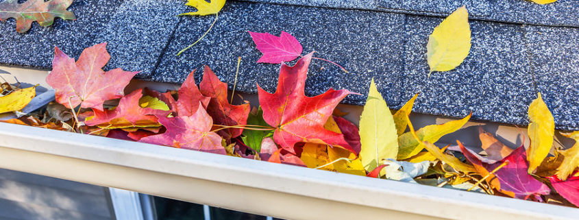 Fall Home Maintenance Checklist for your Dallas, TX home