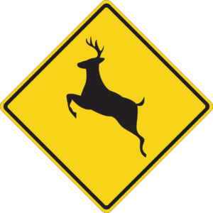 Yellow warning deer sign to help you lower your risk for a deer collision