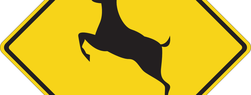 Yellow warning deer sign to help you lower your risk for a deer collision
