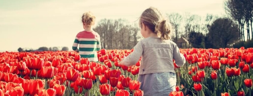 Spring Activities to Consider in Dallas, TX