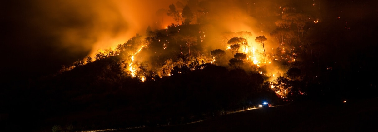 Wildfire Prevention Tips in Dallas, Texas