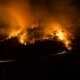 Wildfire Prevention Tips in Dallas, Texas